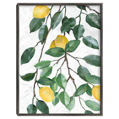 Limonero - Studio Arts