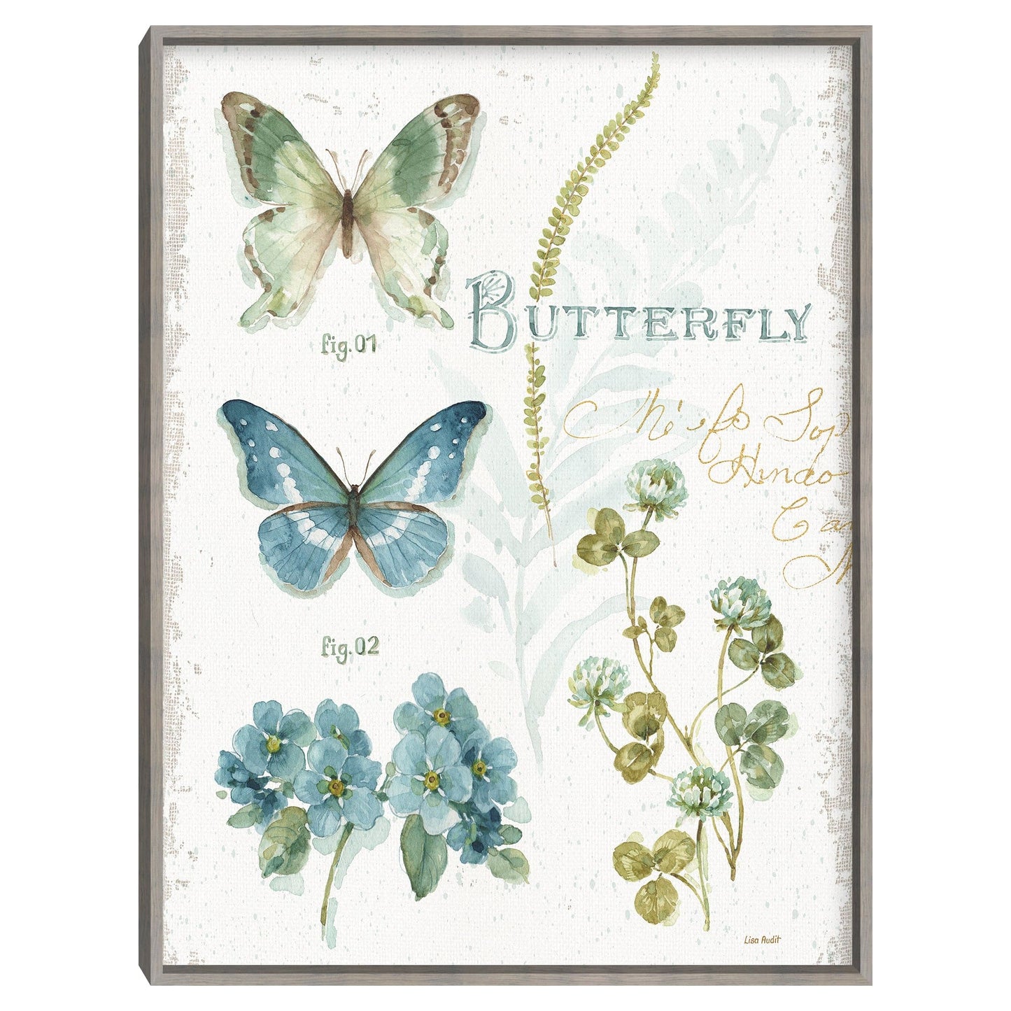 Mi mariposa botanica de invernadero