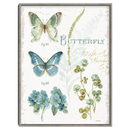 Mi mariposa botanica de invernadero