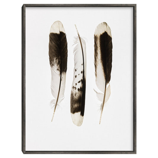 Tres plumas - Nancy Crowell