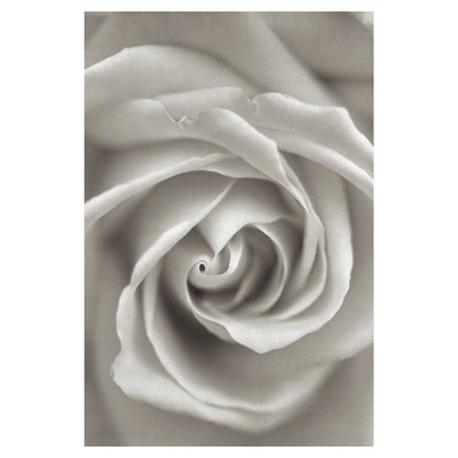 Florison II - Alan Blaustein
