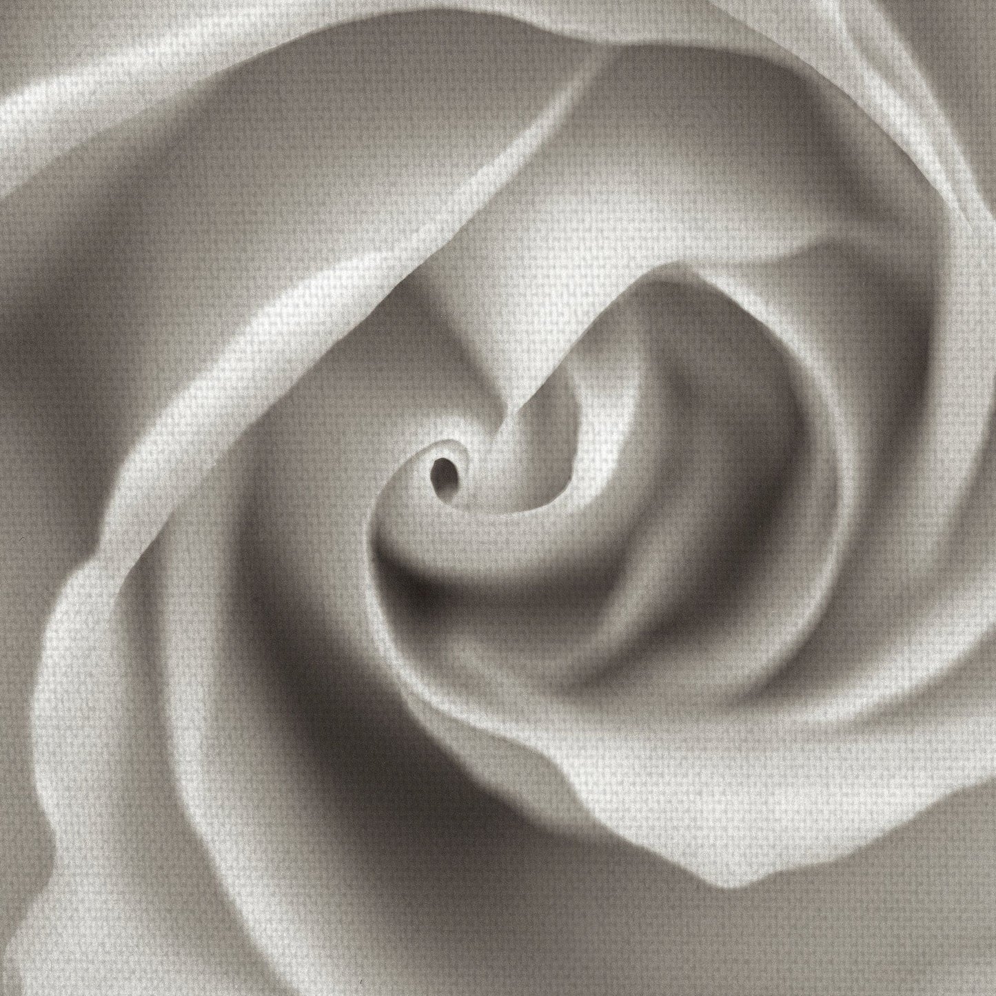 Florison II - Alan Blaustein