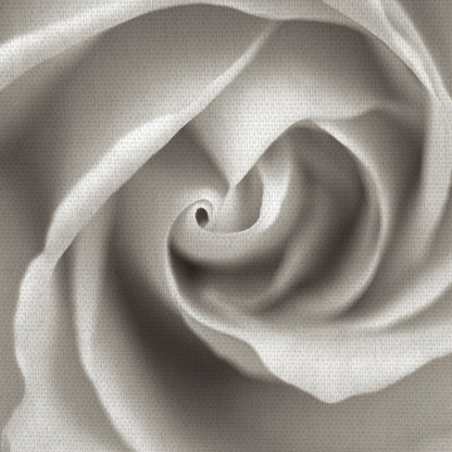 Florison II - Alan Blaustein