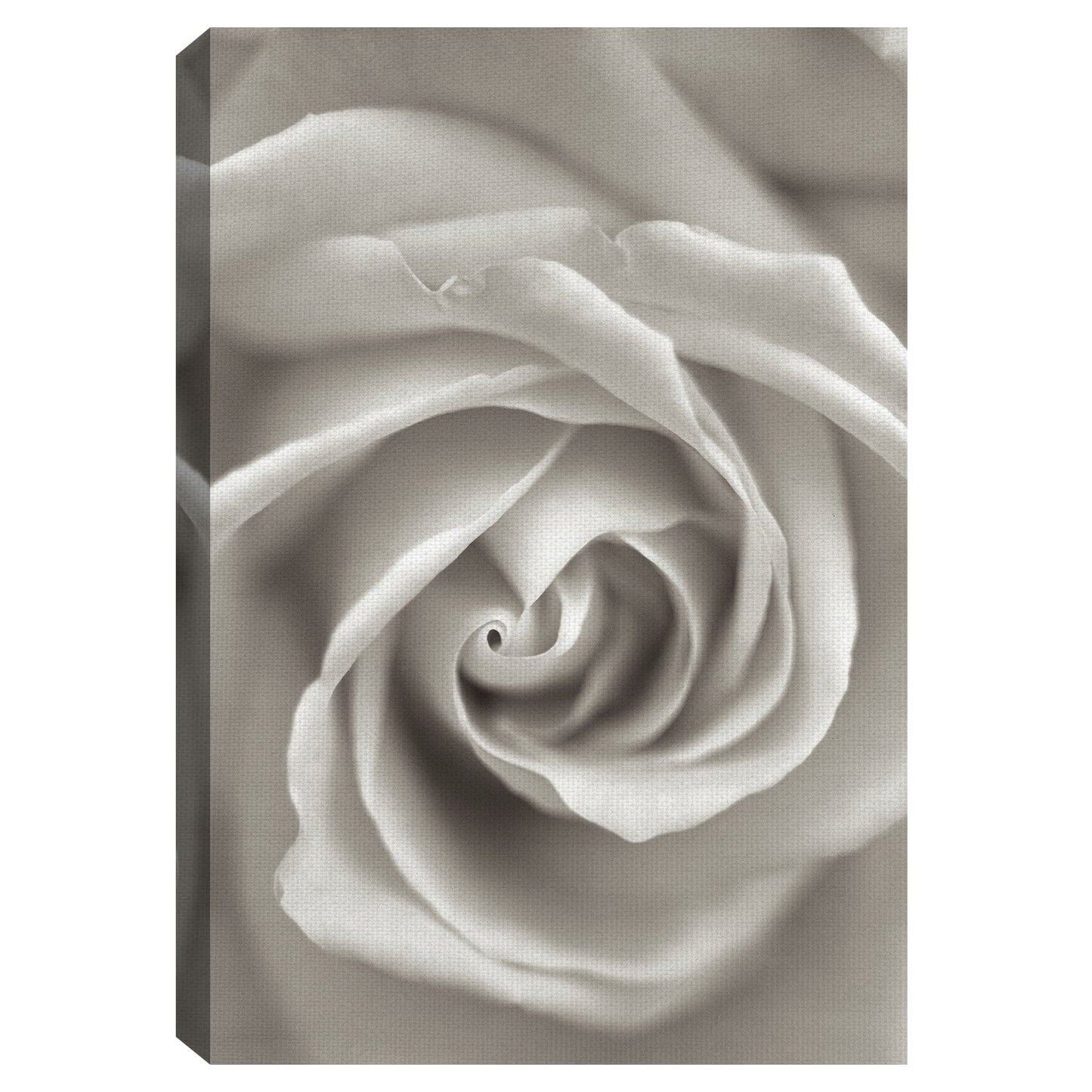 Florison II - Alan Blaustein