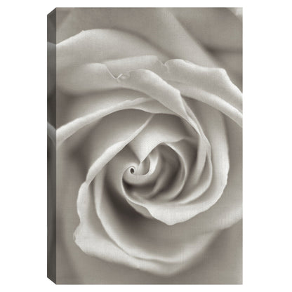 Florison II - Alan Blaustein