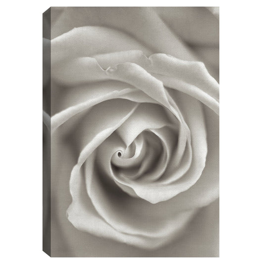 Florison II - Alan Blaustein