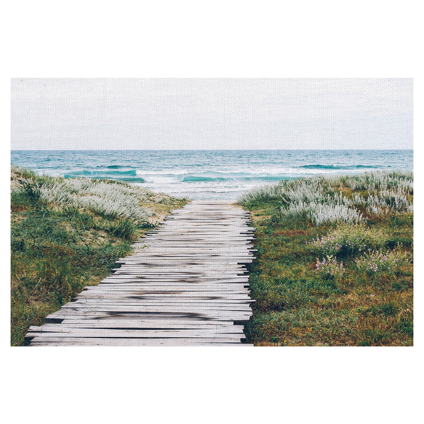 Sendero de playa - Aleksandra Boguslawska