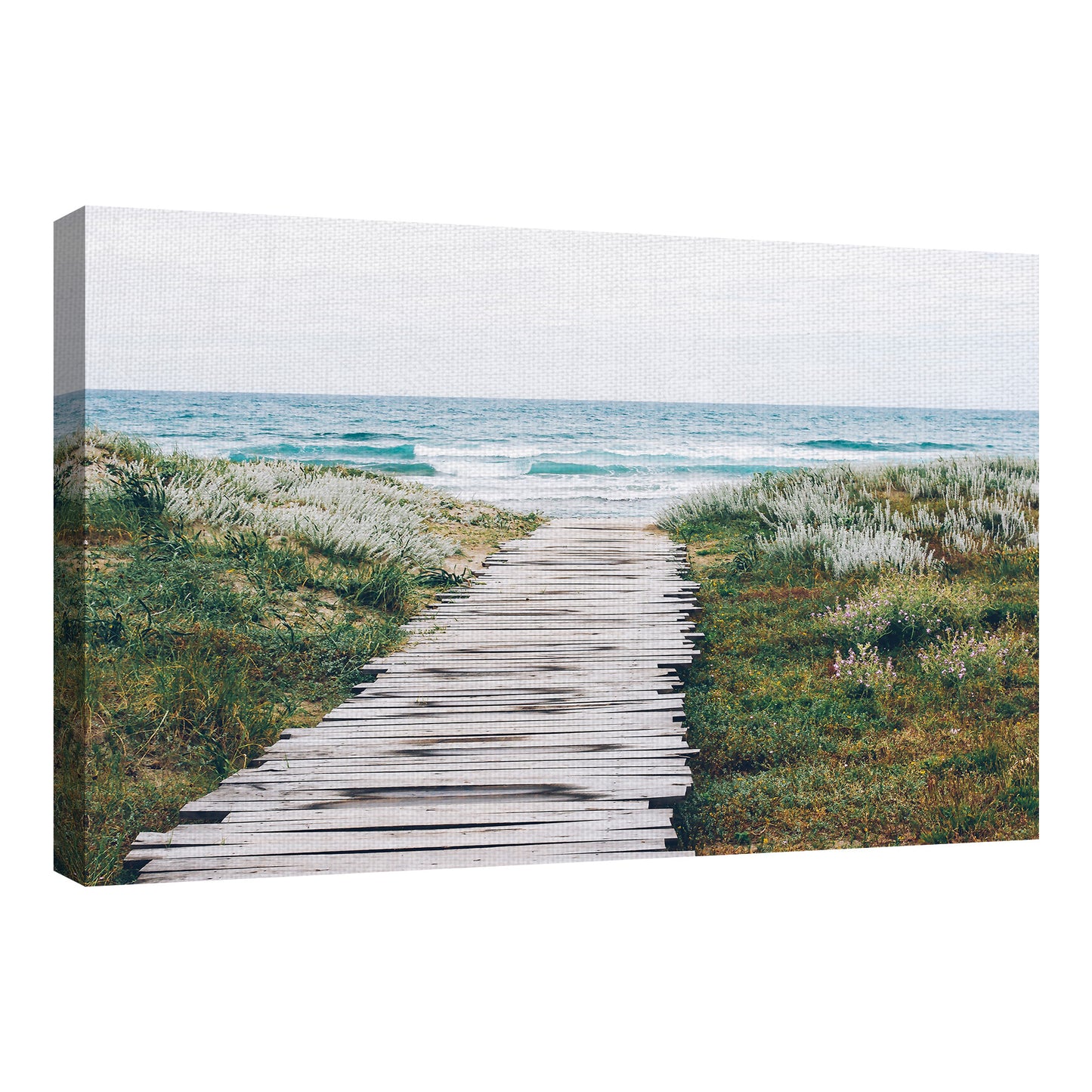 Sendero de playa - Aleksandra Boguslawska