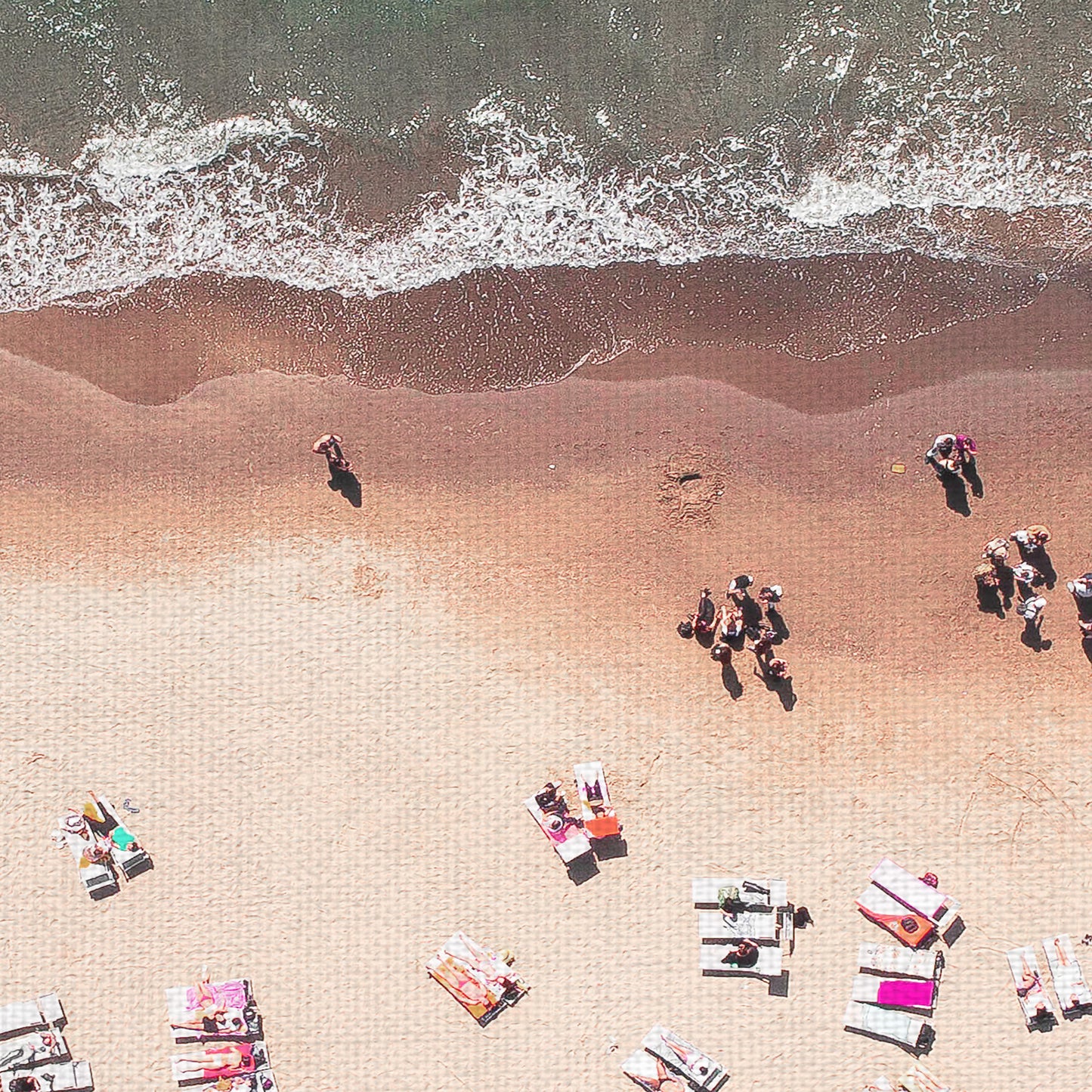 Cultivo REC aereo de playa - Michele Feola