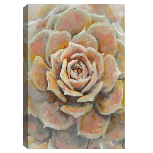Floración del desierto - Studio Arts