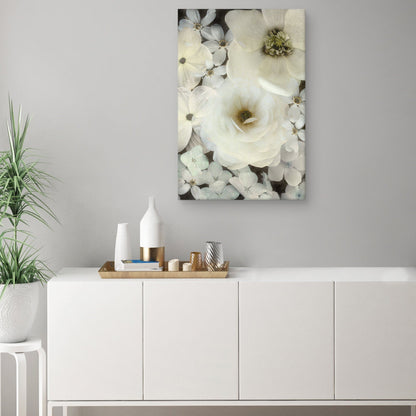 Deleite aturdido - Collezione Botanica