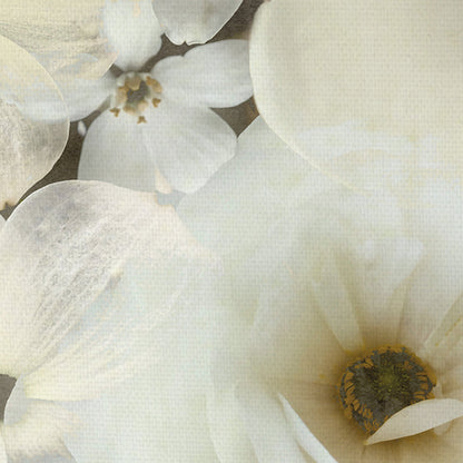 Deleite aturdido - Collezione Botanica