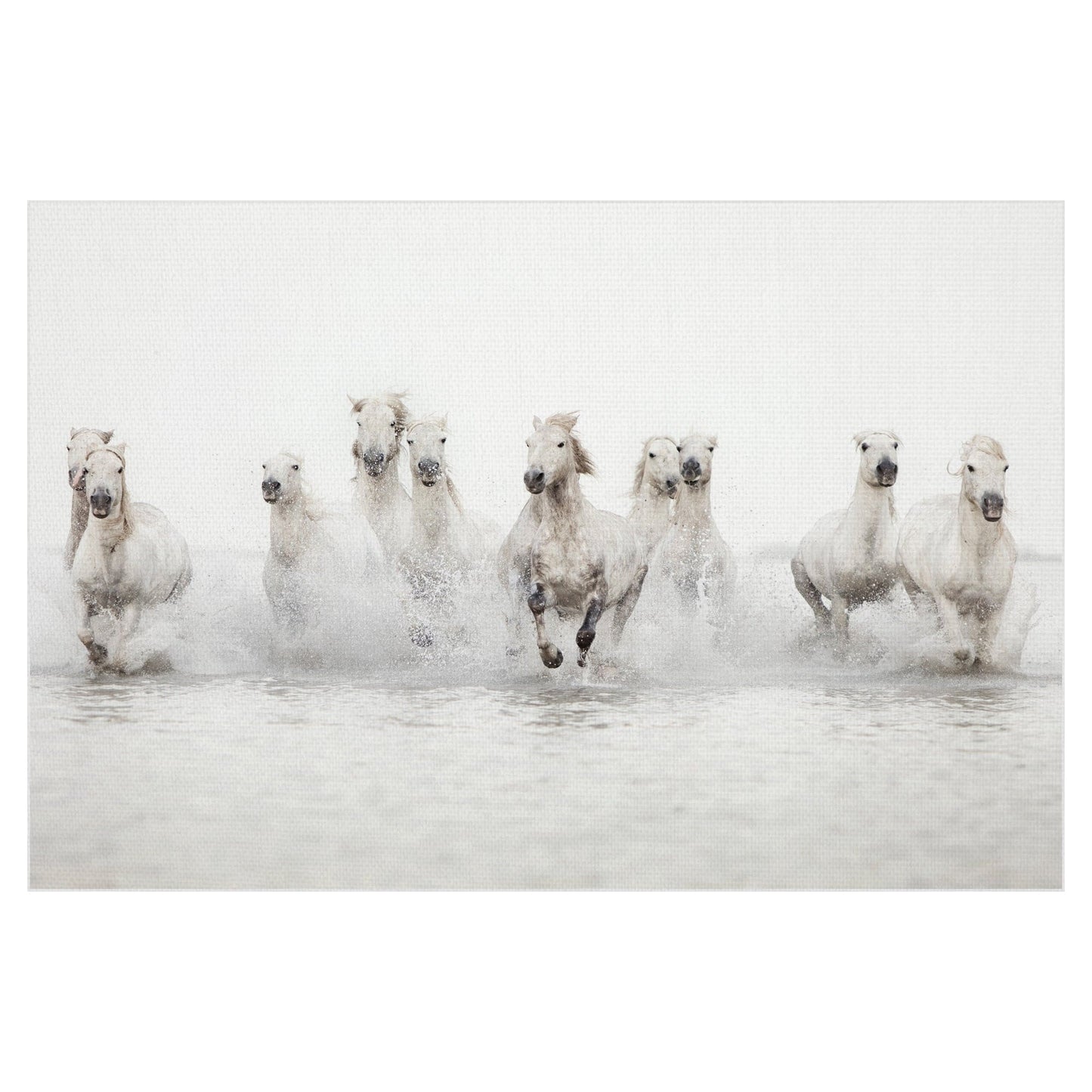 Caballos blancos - Irene Suchocki