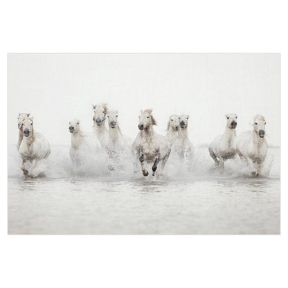Caballos blancos - Irene Suchocki