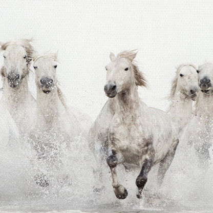 Caballos blancos - Irene Suchocki