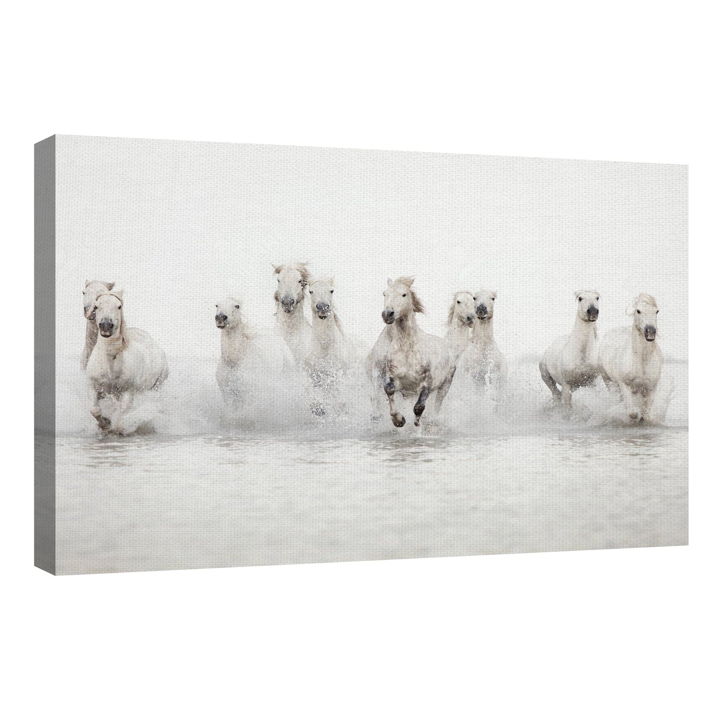 Caballos blancos - Irene Suchocki