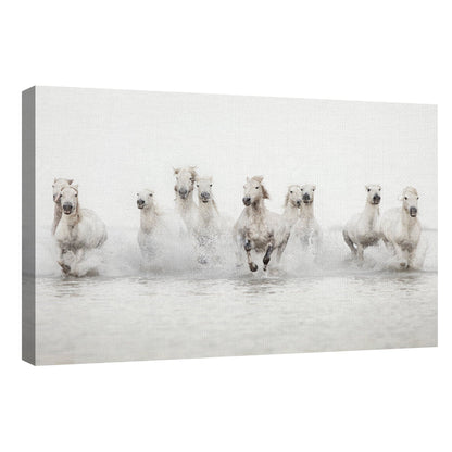 Caballos blancos - Irene Suchocki