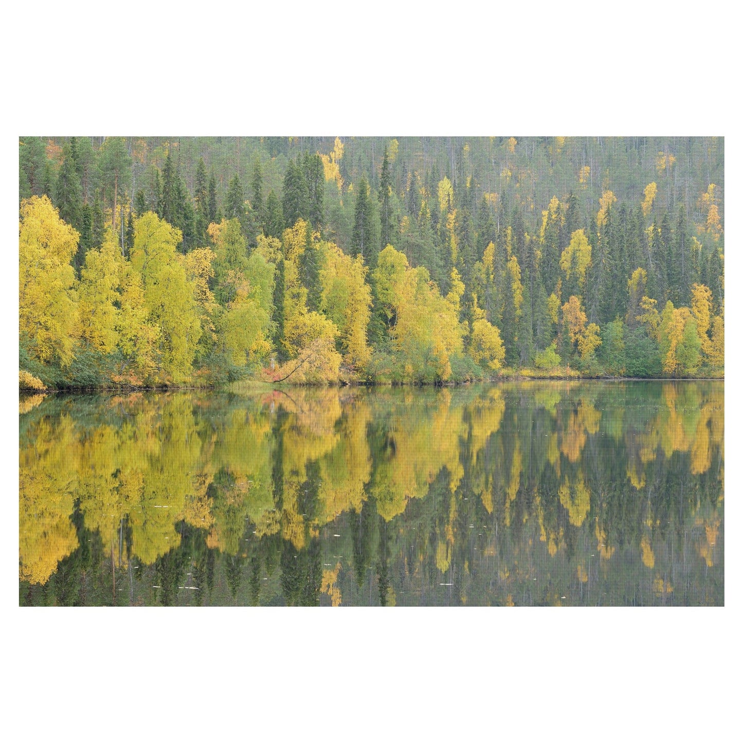 Reflejos espejados - Staffan Widstrand