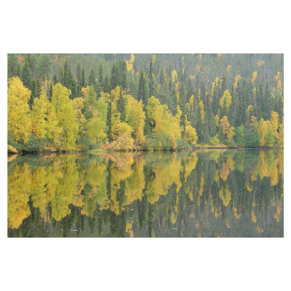 Reflejos espejados - Staffan Widstrand