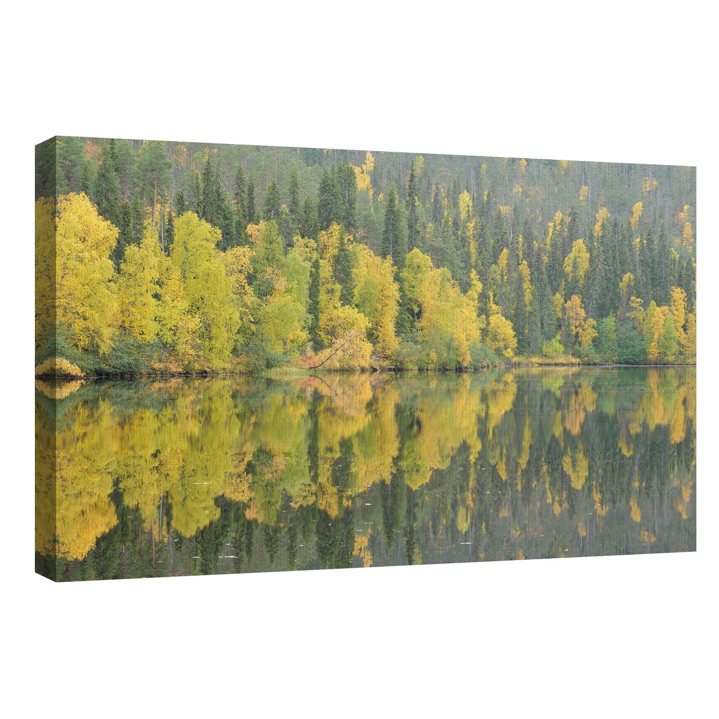 Reflejos espejados - Staffan Widstrand