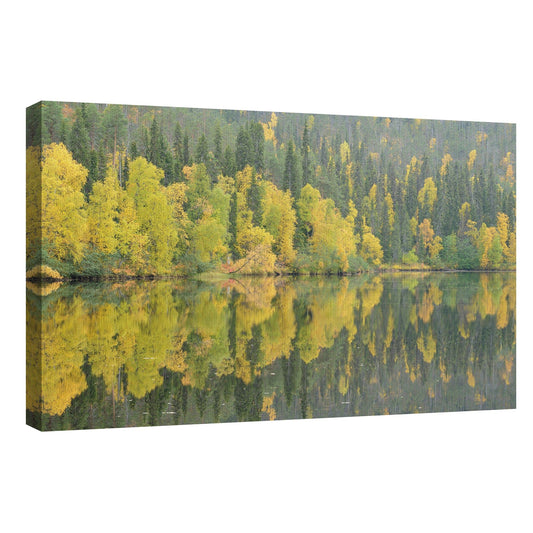 Reflejos espejados - Staffan Widstrand