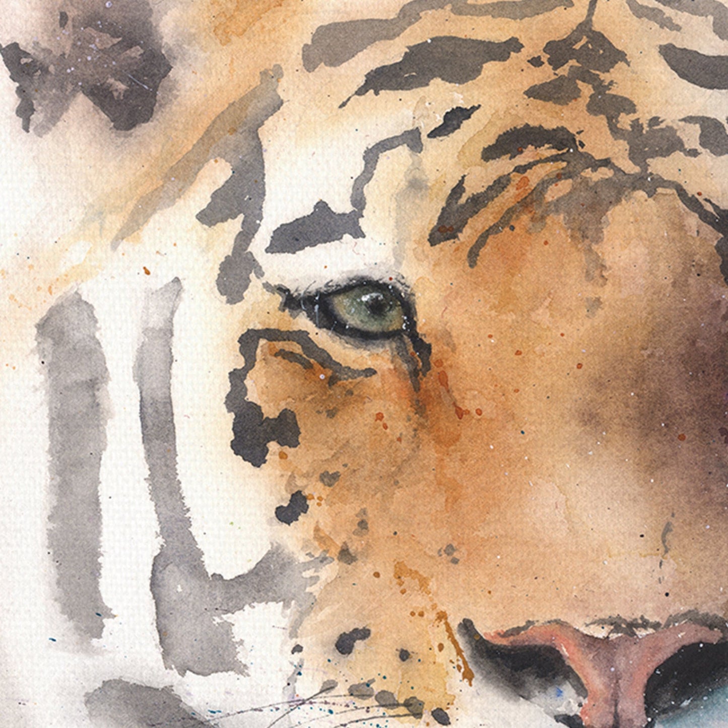 Tigre - Eric Sweet