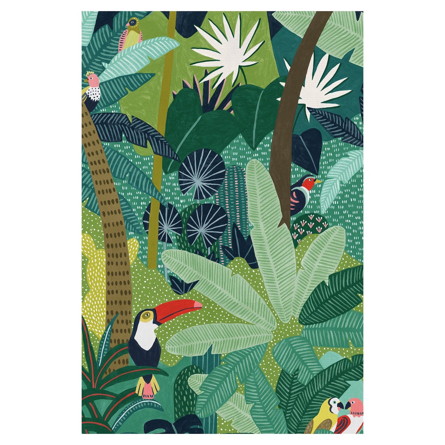 Aves tropicales - Kristine Hegre