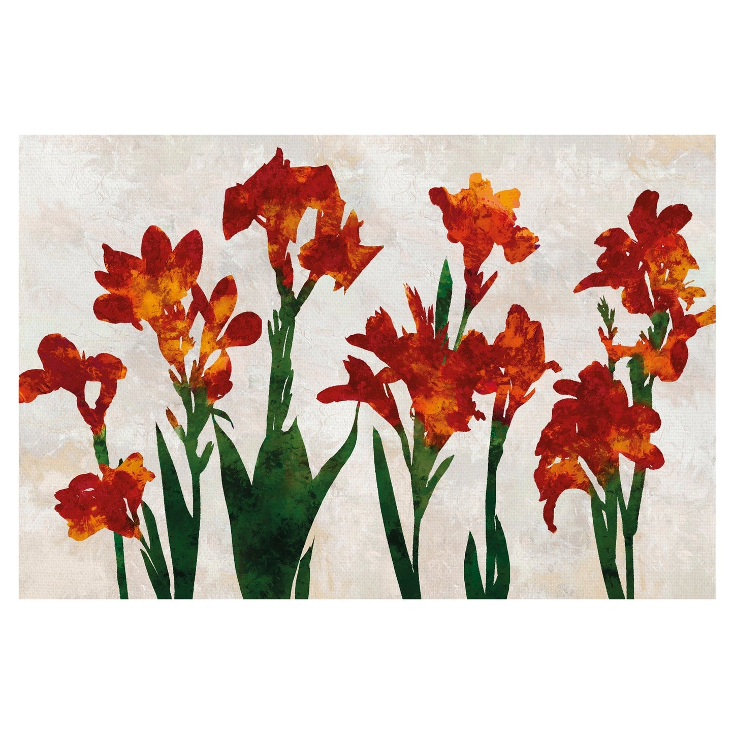 Arnit Bloom - Tania Bello