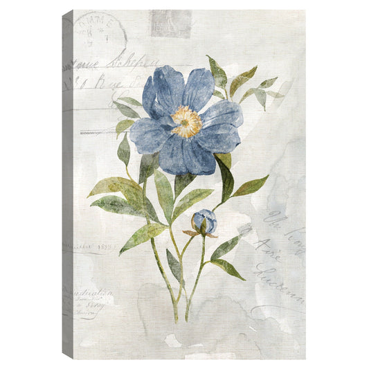 Peonía de lino azul - Carol Robinson