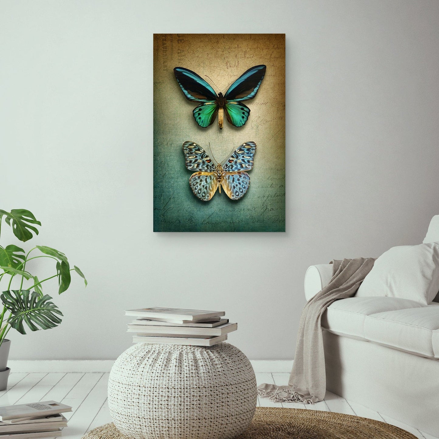 Mariposas Ombre - Belle Maison