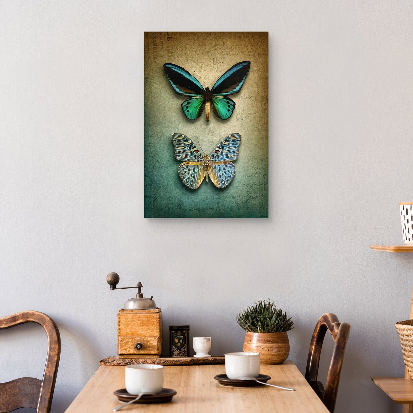 Mariposas Ombre - Belle Maison