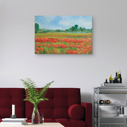 Campo de amapolas de coral - Alexi Fine