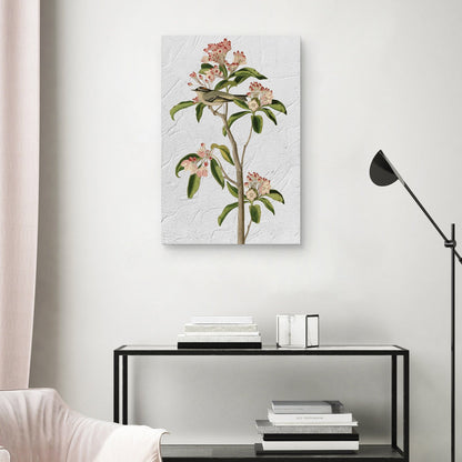 Audubon Curviers Regulus - Design Lab