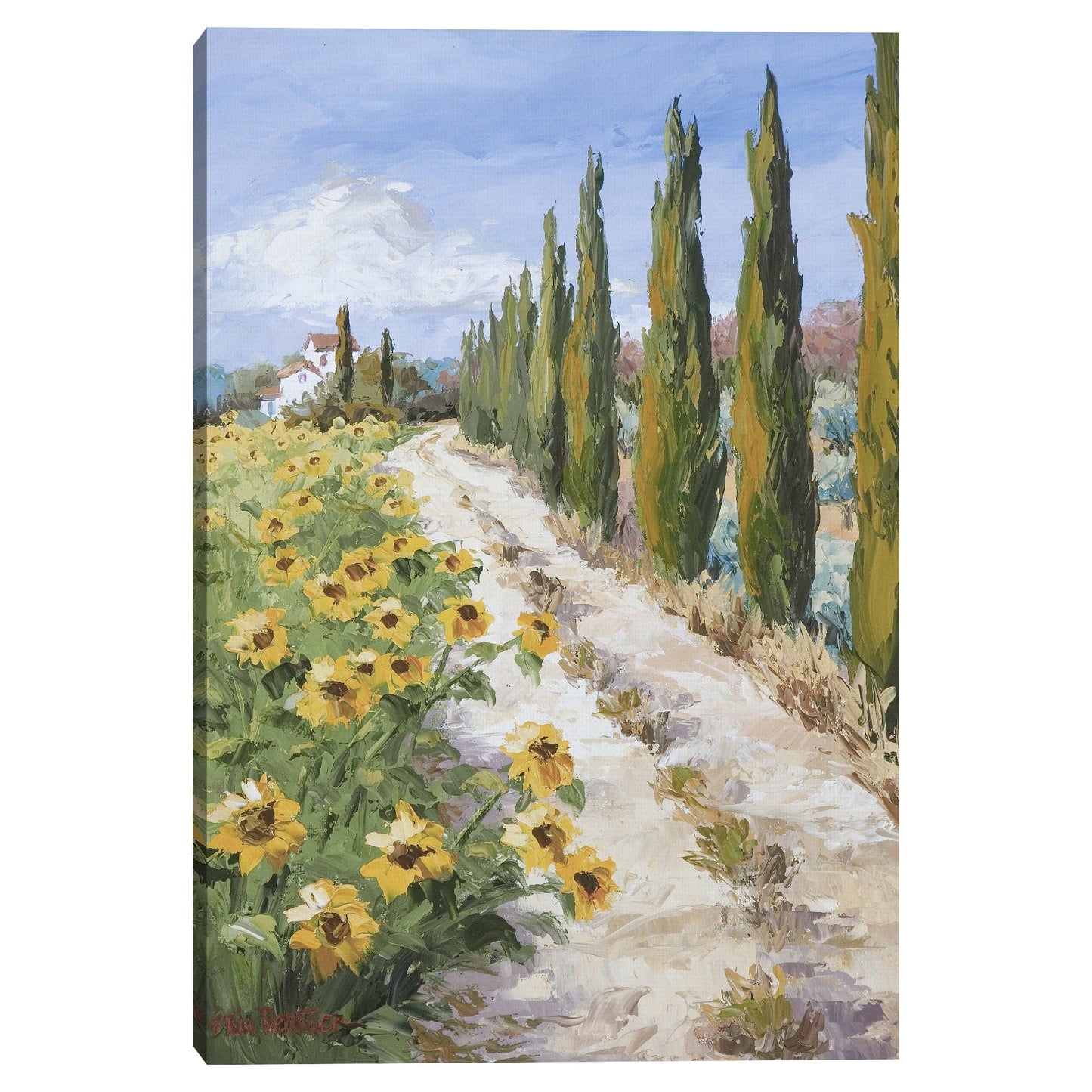 Viejo carril de Contry - Erin Dertner