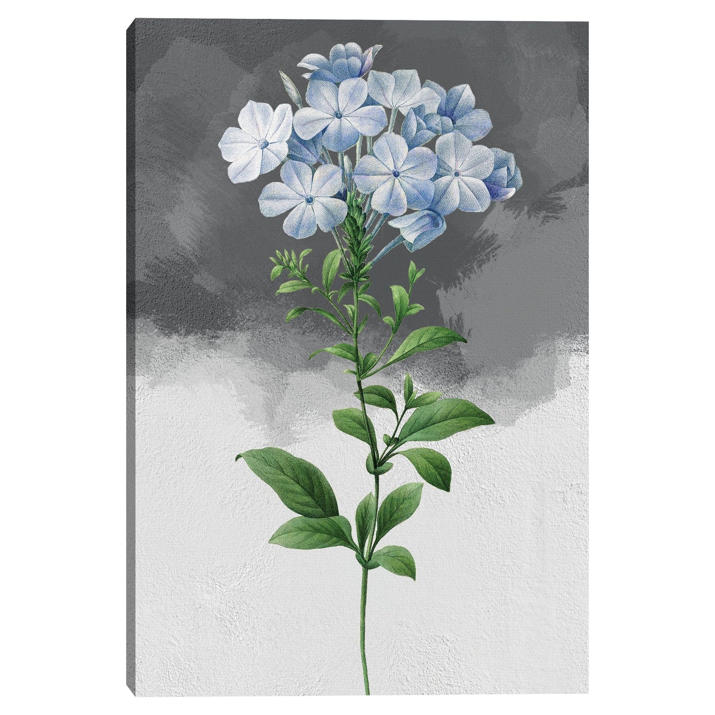 Gris Plumbago - Design Lab