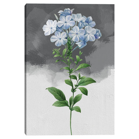 Gris Plumbago - Design Lab