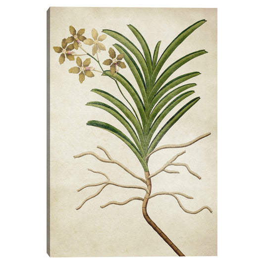 Textura Simple Nature V - Design Lab