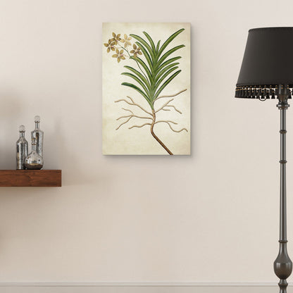 Textura Simple Nature V - Design Lab