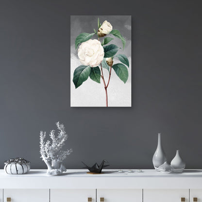 Camelia común blanca gris - Design Lab