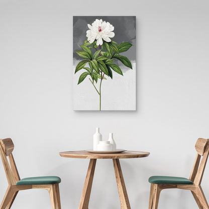 Peonía blanca gris - Design Lab