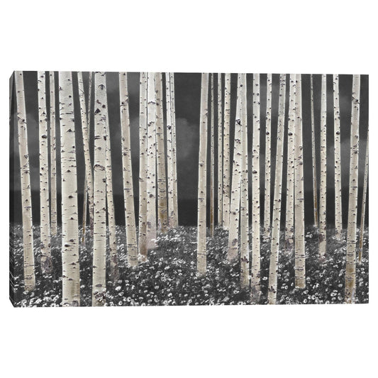 Bosque de abedules crepusculo - Midori Greyson