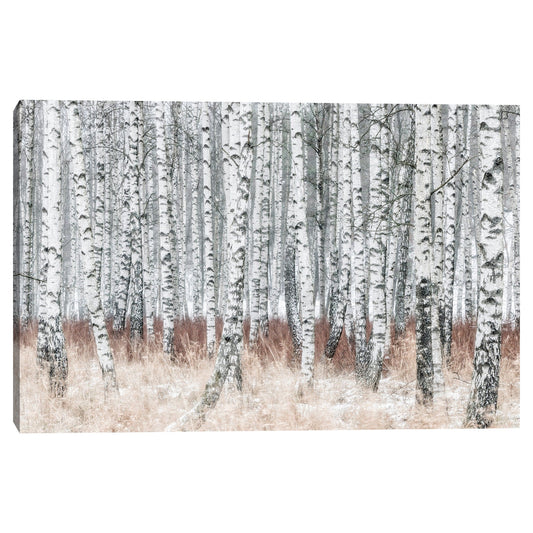 El Bosque de Plata - Mikael Svensson