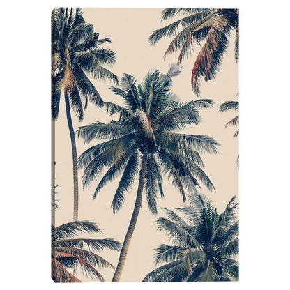 Palmeras Vintage - Belle Maison