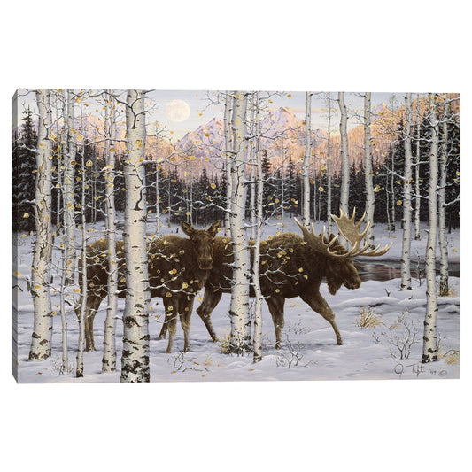 Crepusculo del bosque - Jeff Tift