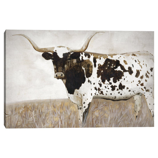 Veterano - Jodi Hatfield