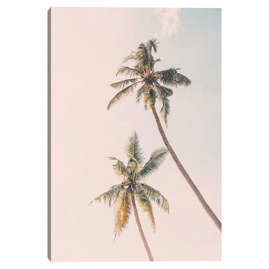 Palmeras tropicales - Sisi and Seb