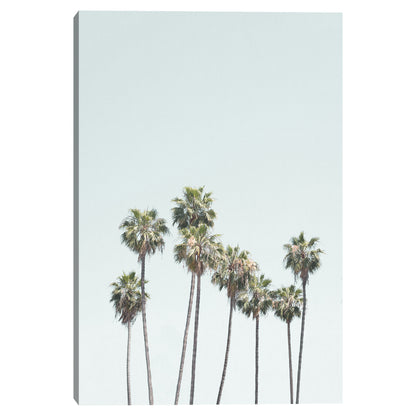 Palmeras de California - Sisi and Seb