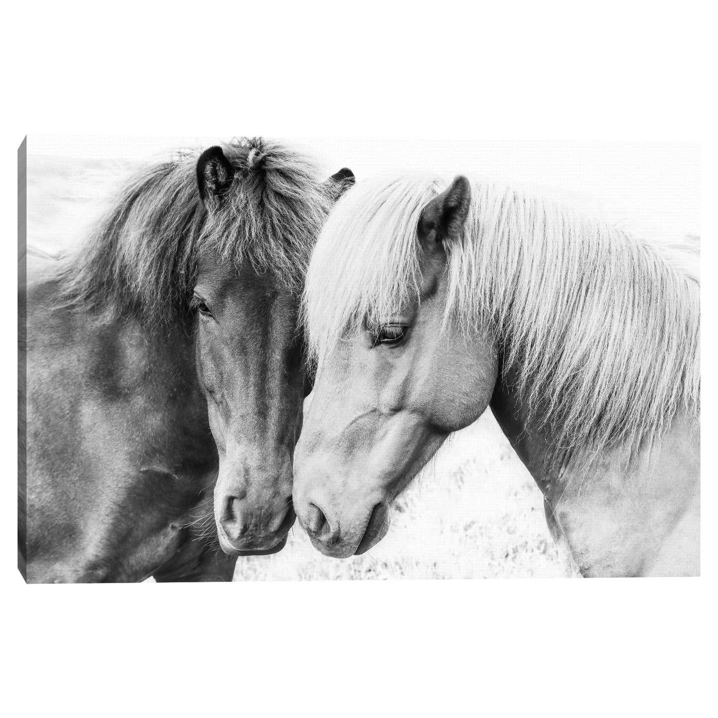 Amor por los caballos - Sisi and Seb