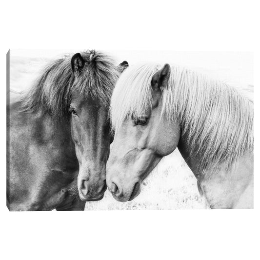 Amor por los caballos - Sisi and Seb