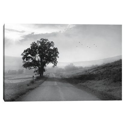 Camino rural brumoso - Lori Deiter